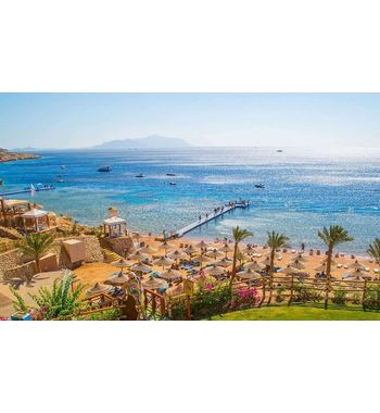 Тур в Египет